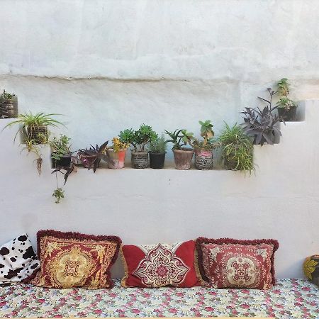 Hostel Zicatela Taghazout Exteriör bild